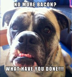 No More Bacon2