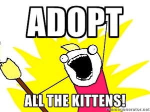 Adopt Kittens