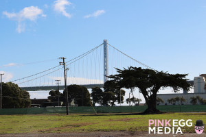 Treasure Island - San Francisco Photo by: Ana Pines
