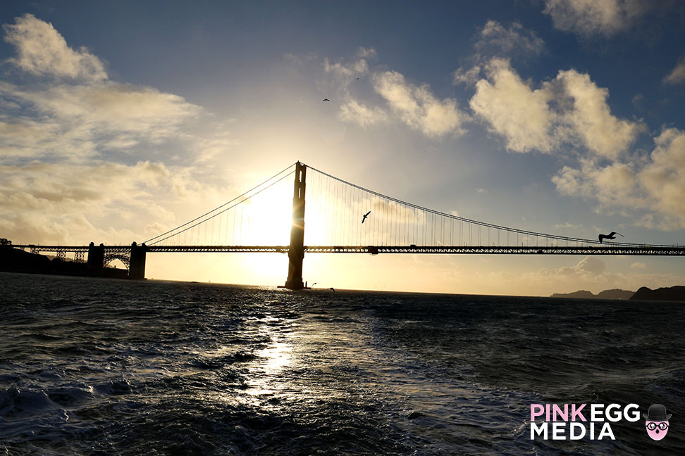 Bridge to Bridge SF AnaPines 18